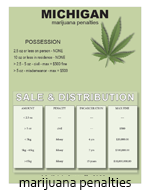 Marijuana Possession